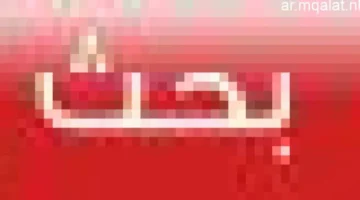 قمة الجولة: 7 مواجهات حاسمة في دوري كرة القدم النسائية.. الزمالك والمقاولون يتصدران